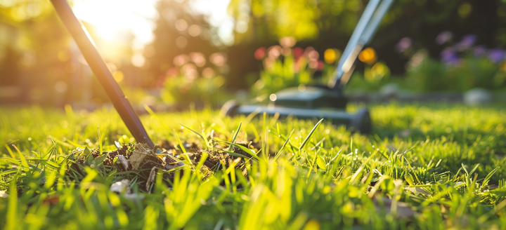 SPRING CLEANING CHECKLIST FOR YOUR LAWN